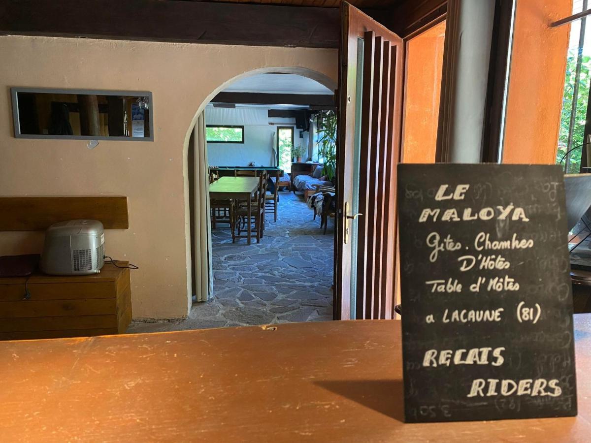 "Le Maloya" Chalets Independants -Chambre Balneo - Relais Motards Lacaune Zewnętrze zdjęcie
