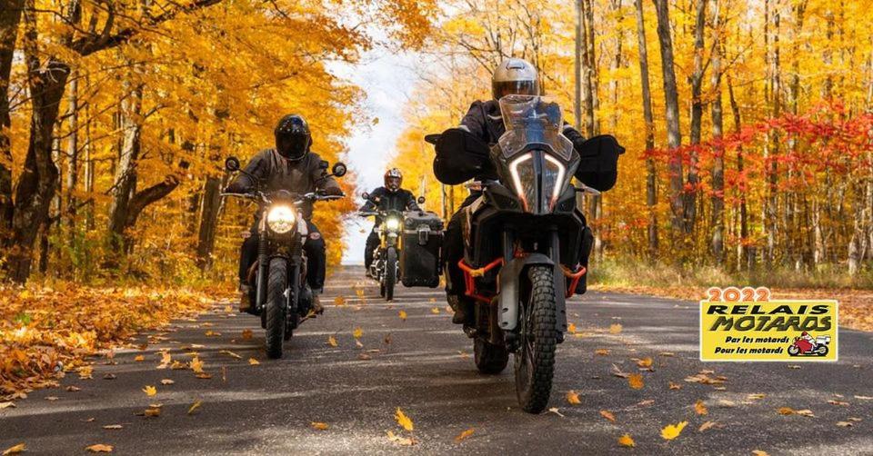 "Le Maloya" Chalets Independants -Chambre Balneo - Relais Motards Lacaune Zewnętrze zdjęcie