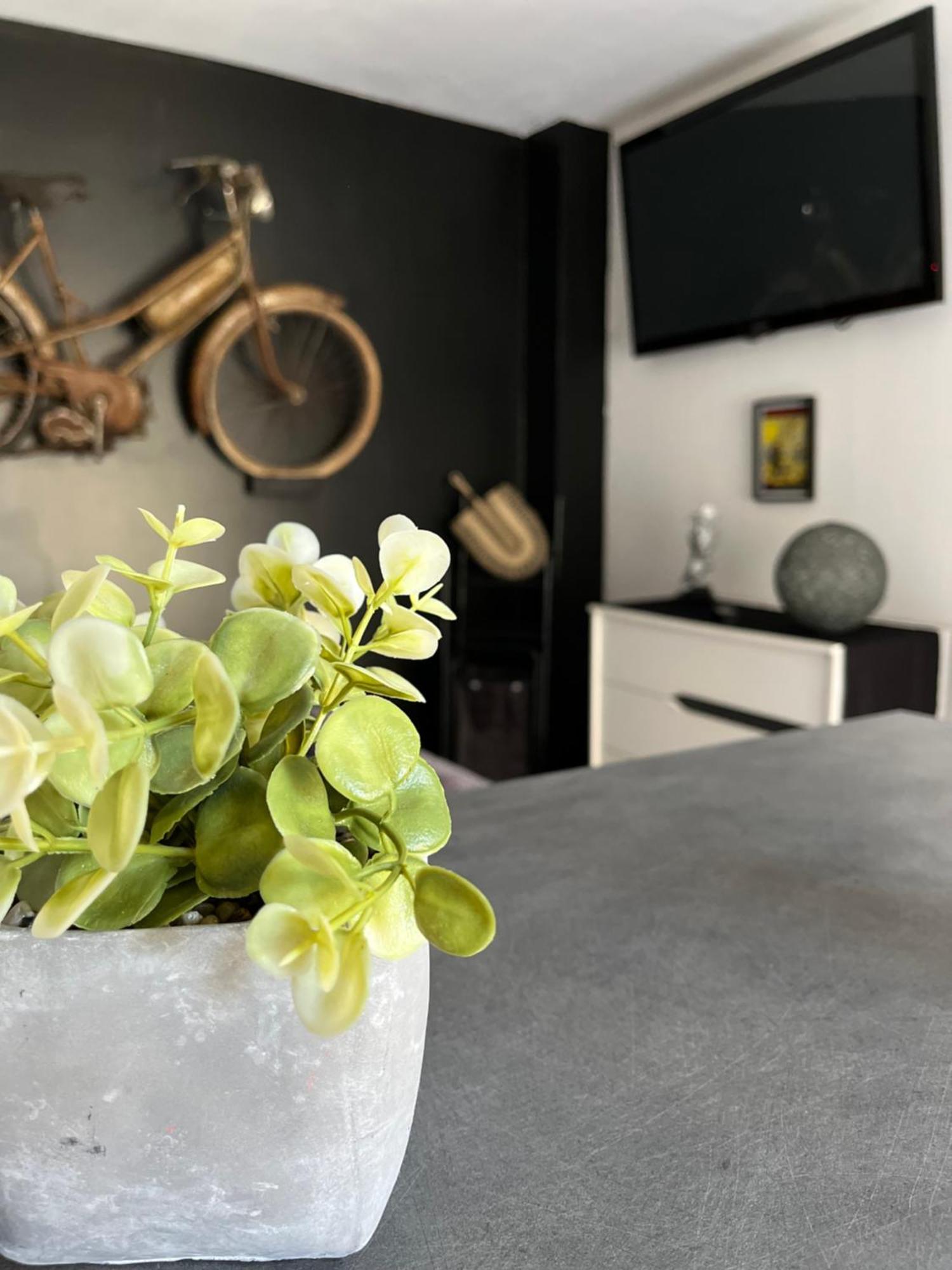 "Le Maloya" Chalets Independants -Chambre Balneo - Relais Motards Lacaune Zewnętrze zdjęcie