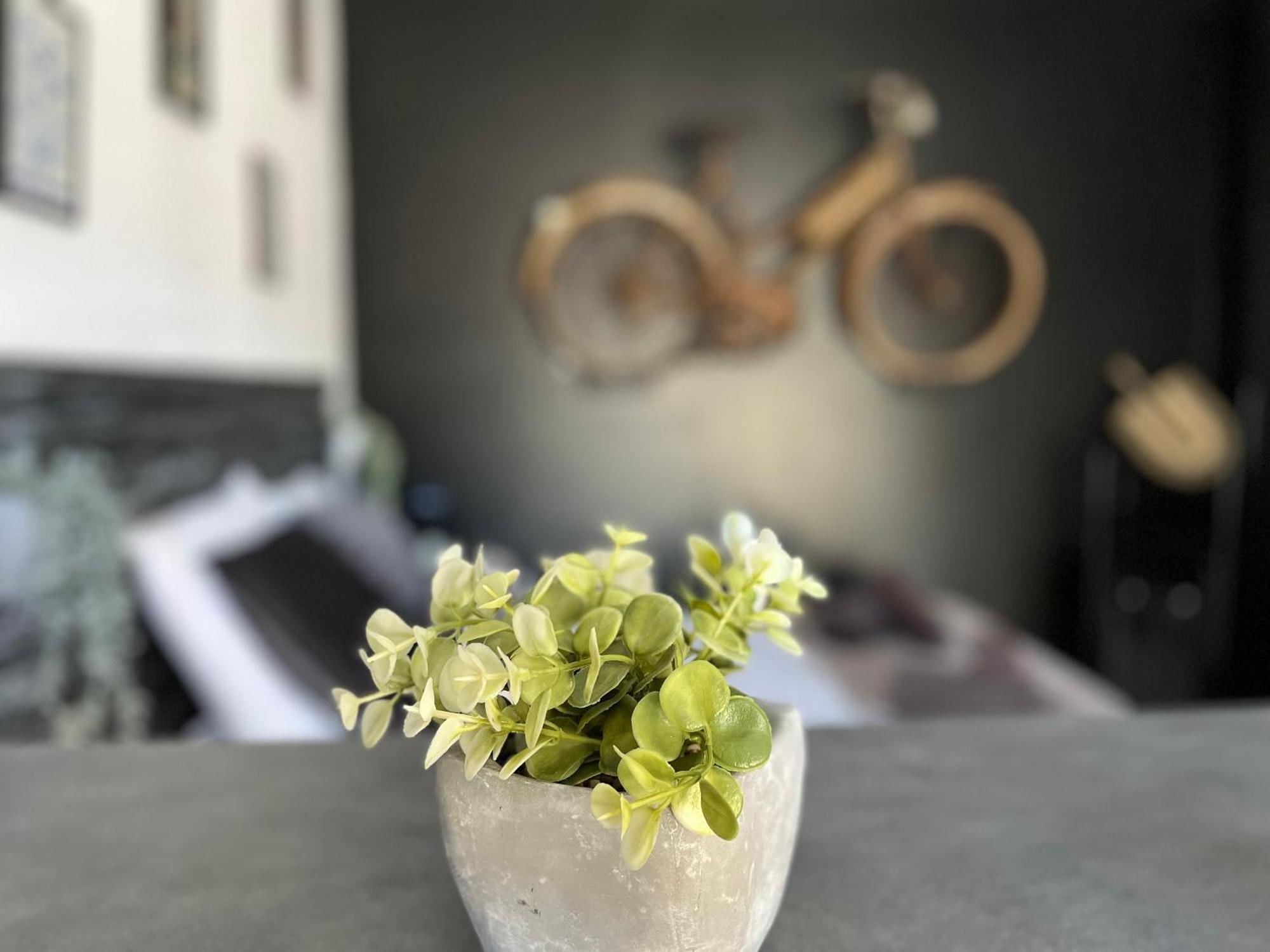 "Le Maloya" Chalets Independants -Chambre Balneo - Relais Motards Lacaune Zewnętrze zdjęcie