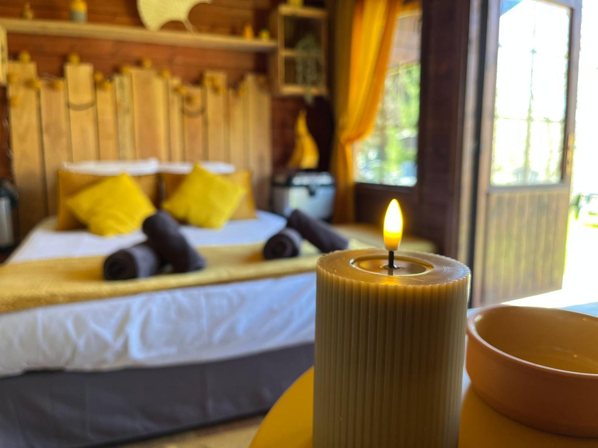 "Le Maloya" Chalets Independants -Chambre Balneo - Relais Motards Lacaune Zewnętrze zdjęcie