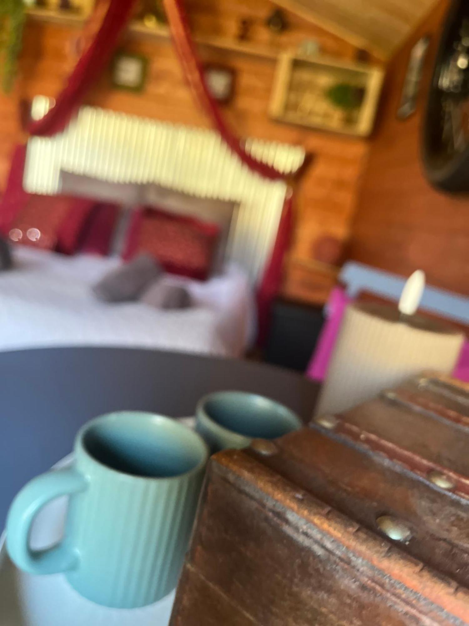 "Le Maloya" Chalets Independants -Chambre Balneo - Relais Motards Lacaune Zewnętrze zdjęcie